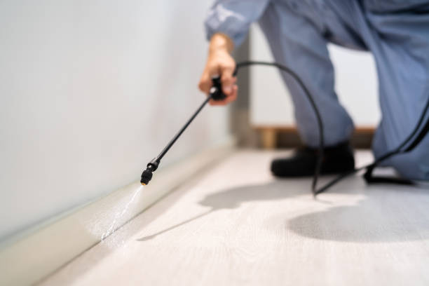 Licensed Termite Control service in Wood County County, WV - Nex Pest Control