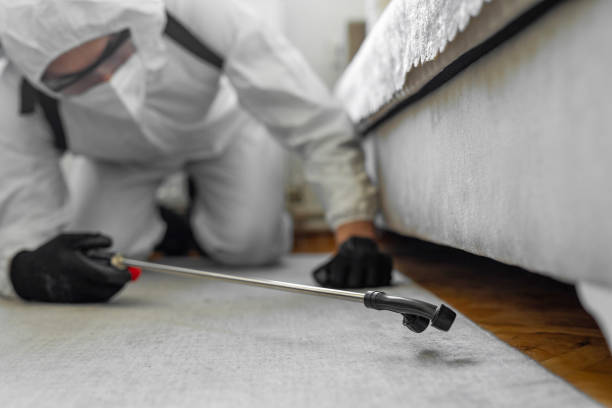 Professional Termite Control technician working in Wood County County, WV